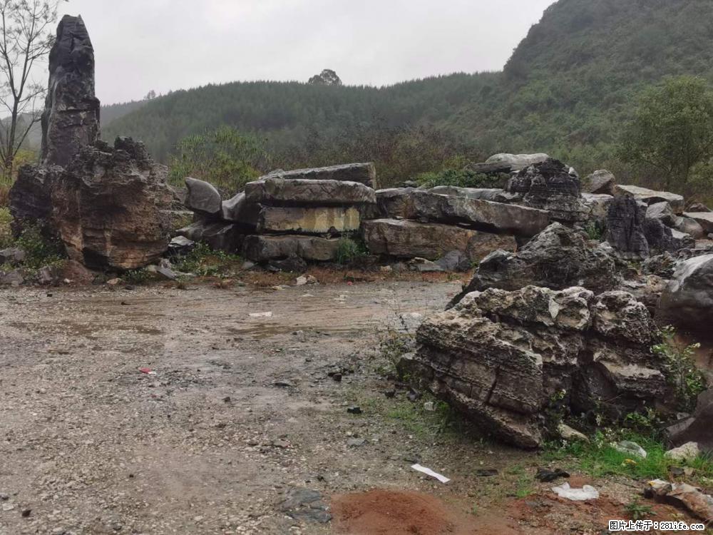 风景石、假山石大量有货，有需要的欢迎联系 - 新手上路 - 防城港生活社区 - 防城港28生活网 fcg.28life.net