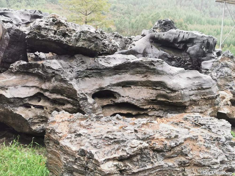 风景石、假山石大量有货，有需要的欢迎联系 - 新手上路 - 防城港生活社区 - 防城港28生活网 fcg.28life.net