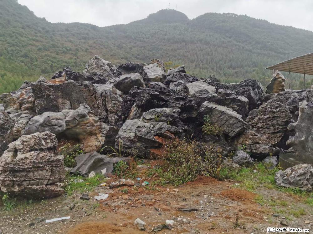 风景石、假山石大量有货，有需要的欢迎联系 - 新手上路 - 防城港生活社区 - 防城港28生活网 fcg.28life.net
