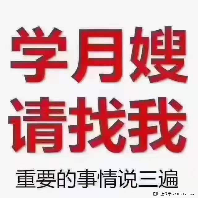 为什么要学习月嫂，育婴师？ - 其他广告 - 广告专区 - 防城港分类信息 - 防城港28生活网 fcg.28life.net