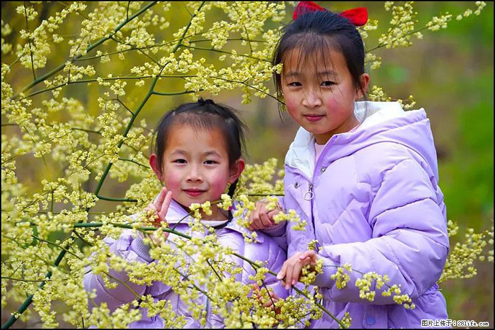 【春天，广西桂林灌阳县向您发出邀请！】米珠山前有片山苍子花在飘香 - 游山玩水 - 防城港生活社区 - 防城港28生活网 fcg.28life.net