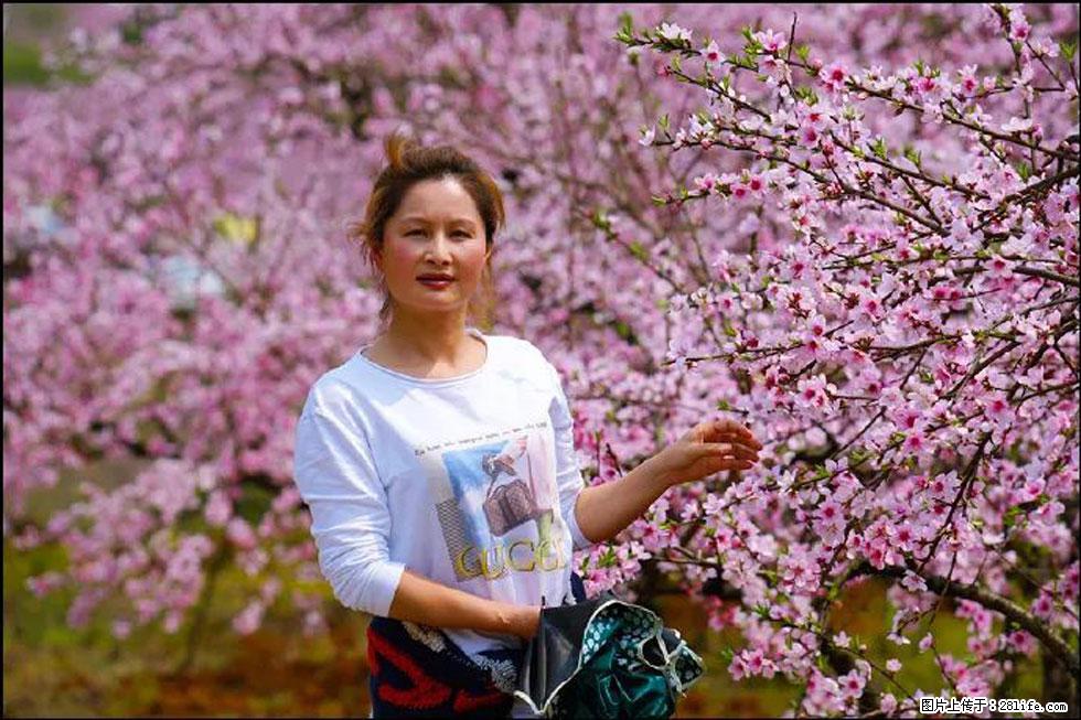 【春天，广西桂林灌阳县向您发出邀请！】官庄村有个醉美的桃花园 - 游山玩水 - 防城港生活社区 - 防城港28生活网 fcg.28life.net