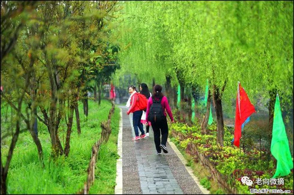 【春天，广西桂林灌阳县向您发出邀请！】江口老街又逢春 - 游山玩水 - 防城港生活社区 - 防城港28生活网 fcg.28life.net