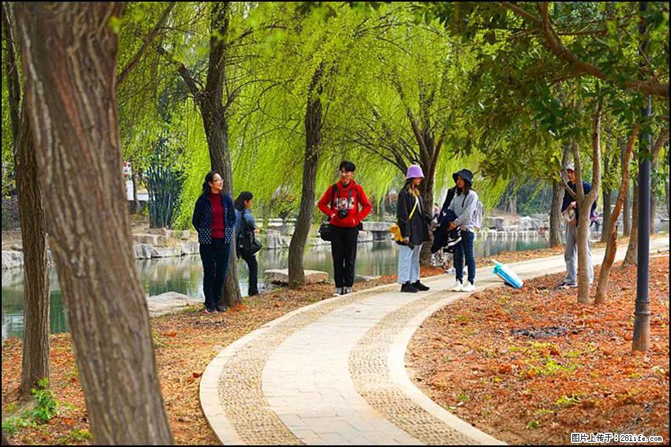 【春天，广西桂林灌阳县向您发出邀请！】江口老街又逢春 - 游山玩水 - 防城港生活社区 - 防城港28生活网 fcg.28life.net