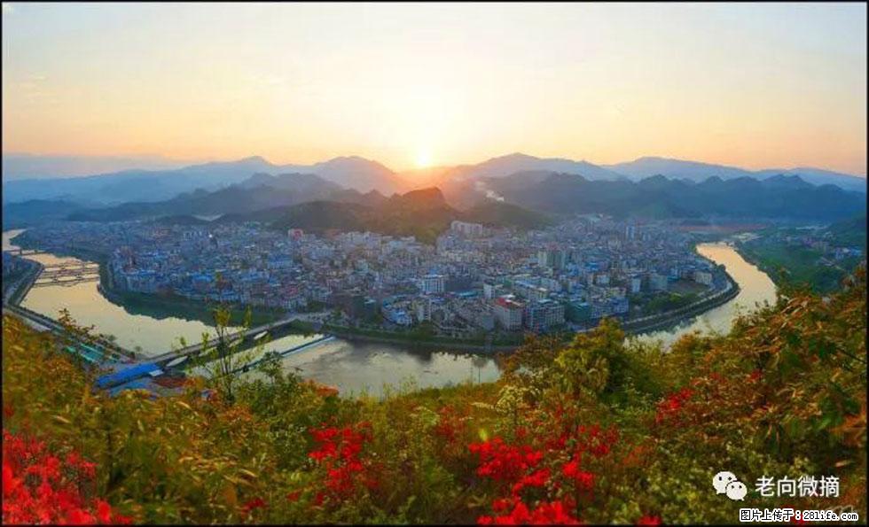 【春天，广西桂林灌阳县向您发出邀请！】登麒麟山，相约映山红 - 游山玩水 - 防城港生活社区 - 防城港28生活网 fcg.28life.net