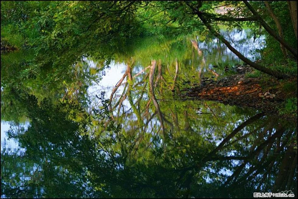 【春天，广西桂林灌阳县向您发出邀请！】熊家寨湿地公园 - 游山玩水 - 防城港生活社区 - 防城港28生活网 fcg.28life.net