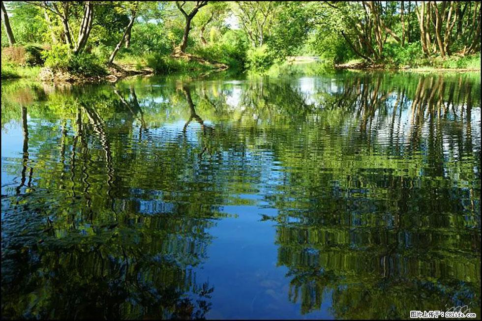 【春天，广西桂林灌阳县向您发出邀请！】熊家寨湿地公园 - 游山玩水 - 防城港生活社区 - 防城港28生活网 fcg.28life.net