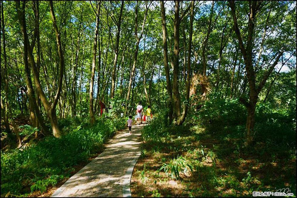 【春天，广西桂林灌阳县向您发出邀请！】熊家寨湿地公园 - 游山玩水 - 防城港生活社区 - 防城港28生活网 fcg.28life.net