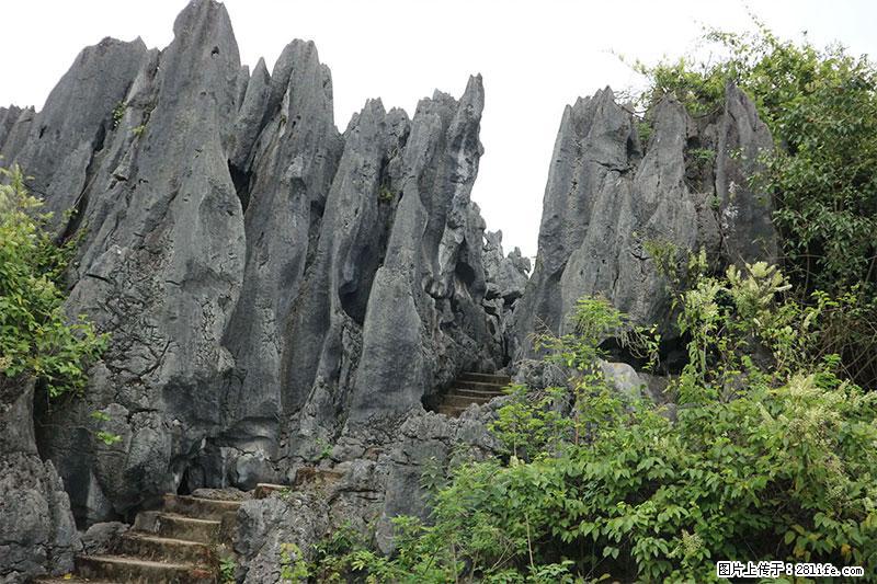 桂林旅游名城景点：灌阳文市石林 - 游山玩水 - 防城港生活社区 - 防城港28生活网 fcg.28life.net