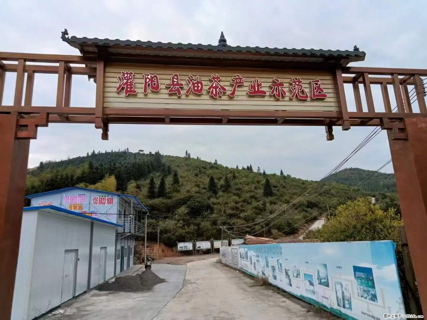 【灌阳县油茶产业示范区】一个有着充实的精神生活的人，对待身外之物自会有一种淡泊的态度 - 美食天地 - 防城港生活社区 - 防城港28生活网 fcg.28life.net
