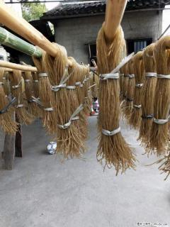 【灌阳正宗红薯粉】美女家里自己做的，干净卫生，假一赔十，价格合理，抢购电话：13737312895 - 防城港28生活网 fcg.28life.net