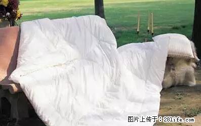 被子有异味？只要这样做，比晒太阳还强100倍！ - 家居生活 - 防城港生活社区 - 防城港28生活网 fcg.28life.net