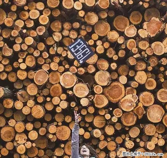 辞掉工作周游世界？现在他们在洗厕所…… - 游山玩水 - 防城港生活社区 - 防城港28生活网 fcg.28life.net