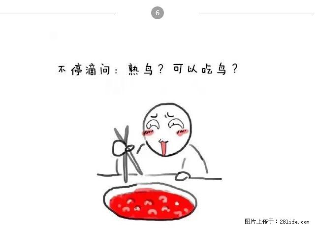 千万不要和这9种哈卵一起吃火锅！ - 美食天地 - 防城港生活社区 - 防城港28生活网 fcg.28life.net