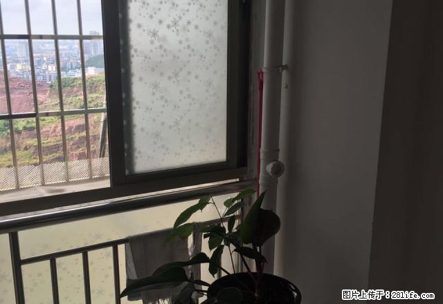 港口桂海星座 1室0厅34平米 精装修 押二付三 - 房屋出租 - 房屋租售 - 防城港分类信息 - 防城港28生活网 fcg.28life.net