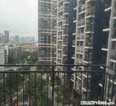 港口夏威夷城市广 2室2厅98平米 简单装修 押一付三 - 房屋出租 - 房屋租售 - 防城港分类信息 - 防城港28生活网 fcg.28life.net