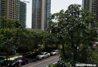 (单间出租)阳光海岸一房一厅家具家电齐全 - 防城港28生活网 fcg.28life.net
