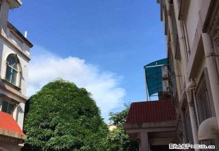 港口仙人湾别墅 6室2厅270平米 中等装修 押二付三 - 防城港28生活网 fcg.28life.net