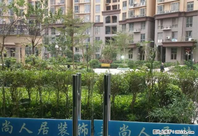 小区绿化好，设施齐全，周边有超市，学校。小区环境好。 - 房屋出租 - 房屋租售 - 防城港分类信息 - 防城港28生活网 fcg.28life.net