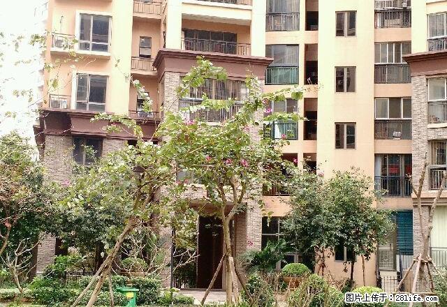 龙光·阳光海岸 3室2厅2卫 - 房屋出租 - 房屋租售 - 防城港分类信息 - 防城港28生活网 fcg.28life.net