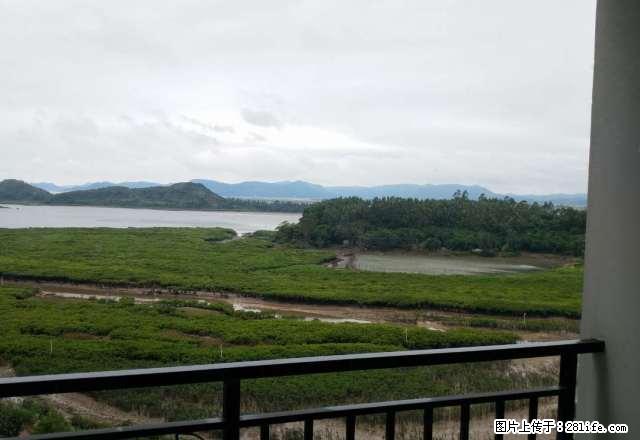 中心区 红林海湾 高楼层 精装修 全新 随时看房 拎包入住 - 房屋出租 - 房屋租售 - 防城港分类信息 - 防城港28生活网 fcg.28life.net