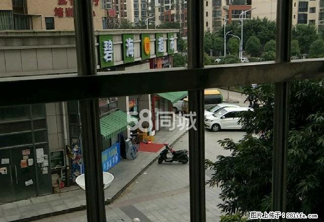 碧海紫金城 3室2厅2卫 - 房屋出租 - 房屋租售 - 防城港分类信息 - 防城港28生活网 fcg.28life.net