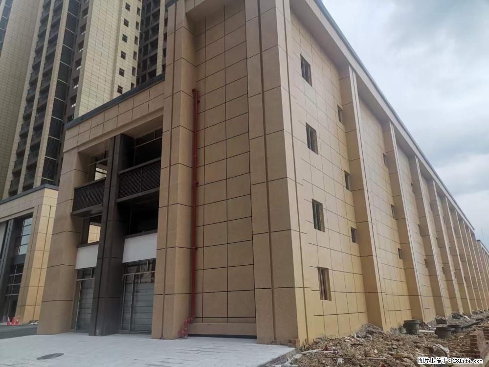 【广西三象建筑安装工程有限公司】外墙涂料工程 - 新手上路 - 防城港生活社区 - 防城港28生活网 fcg.28life.net