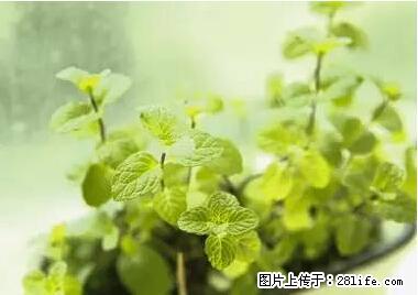 晕车、脚气、牙齿变黄、皮肤粗糙？学会这些三分钟搞定！ - 防城港生活资讯 - 防城港28生活网 fcg.28life.net