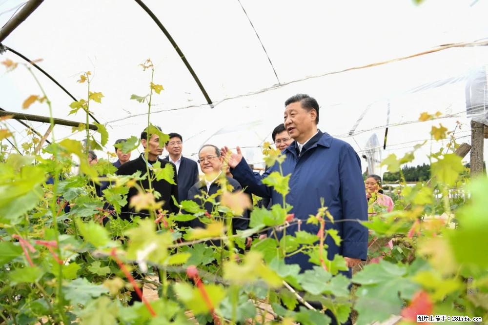 习近平赴广西考察调研 - 防城港生活资讯 - 防城港28生活网 fcg.28life.net