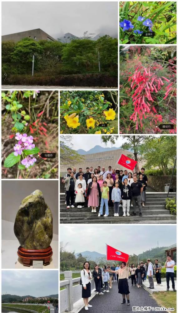 “粤灌文化 美好生活”油茶文化主题活动在广东深圳成功举办 - 防城港生活资讯 - 防城港28生活网 fcg.28life.net