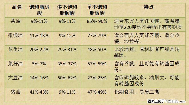 揭秘茶油的5大核心营养成分！被称为人体健康的“守护盾”！ - 防城港生活资讯 - 防城港28生活网 fcg.28life.net