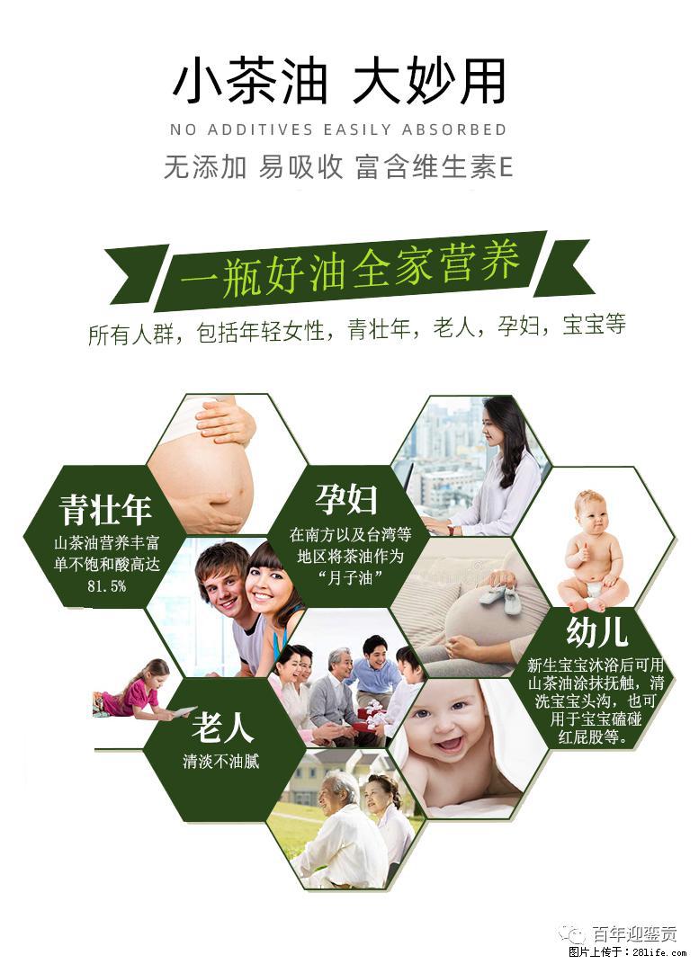 世界没有真相，只有认知，最好的食用油是中国的山茶油！ - 防城港生活资讯 - 防城港28生活网 fcg.28life.net