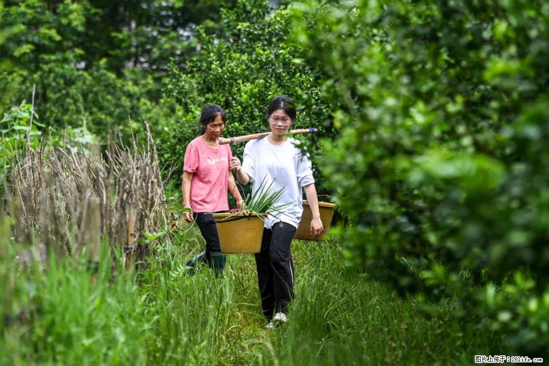 全网追的“扁担女孩”，找了一份暑假工，时薪12元 - 防城港生活资讯 - 防城港28生活网 fcg.28life.net