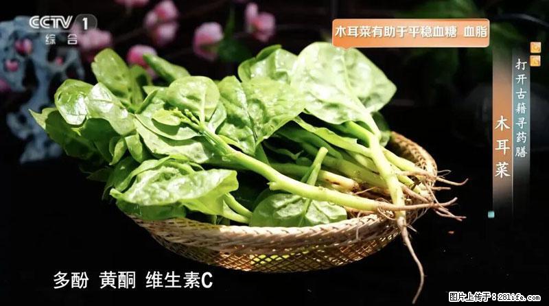 比牛奶补钙还厉害！凉血解毒、稳血糖...这菜冬天必吃，很多人却当草 - 防城港生活资讯 - 防城港28生活网 fcg.28life.net