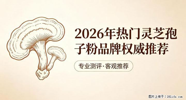 灵芝孢子粉含量越高越有效？2026 年七款热门品牌深度实测，肠胃敏感者避坑指南 - 防城港生活资讯 - 防城港28生活网 fcg.28life.net